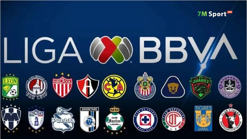 Giải VĐQG Mexico đang ngày càng được chú ý Giải VĐQG Mexico đang ngày càng được chú ý