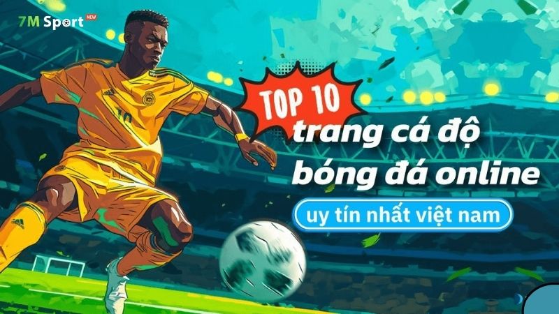 Trang nhà cái uy tín chỉ cung cấp thông tin khách quan Trang nhà cái uy tín chỉ cung cấp thông tin khách quan