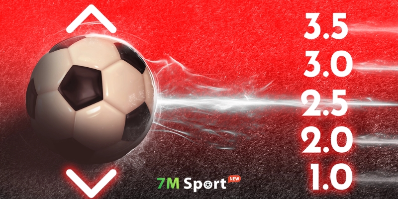 Kèo dưới trong cá độ là gì? Kèo dưới trong cá độ là gì?